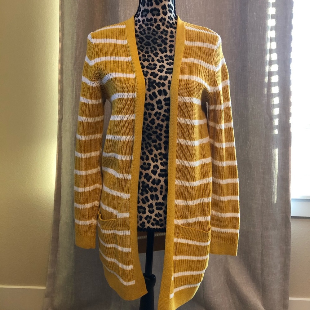 Cardigan sweater